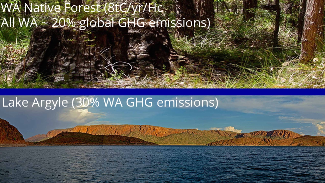 Reforesting Western Australia and managing our lakes as a carbon sink would return the gloabl atmospheric GHG concentrations back to the 1950's levels in 30 years.