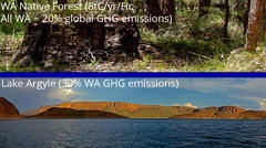 Reforesting Western Australia and managing our lakes as a carbon sink would return the gloabl atmospheric GHG concentrations back to the 1950's levels in 30 years.