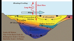 Schematic of the mass flux pathway in a stratified lake.