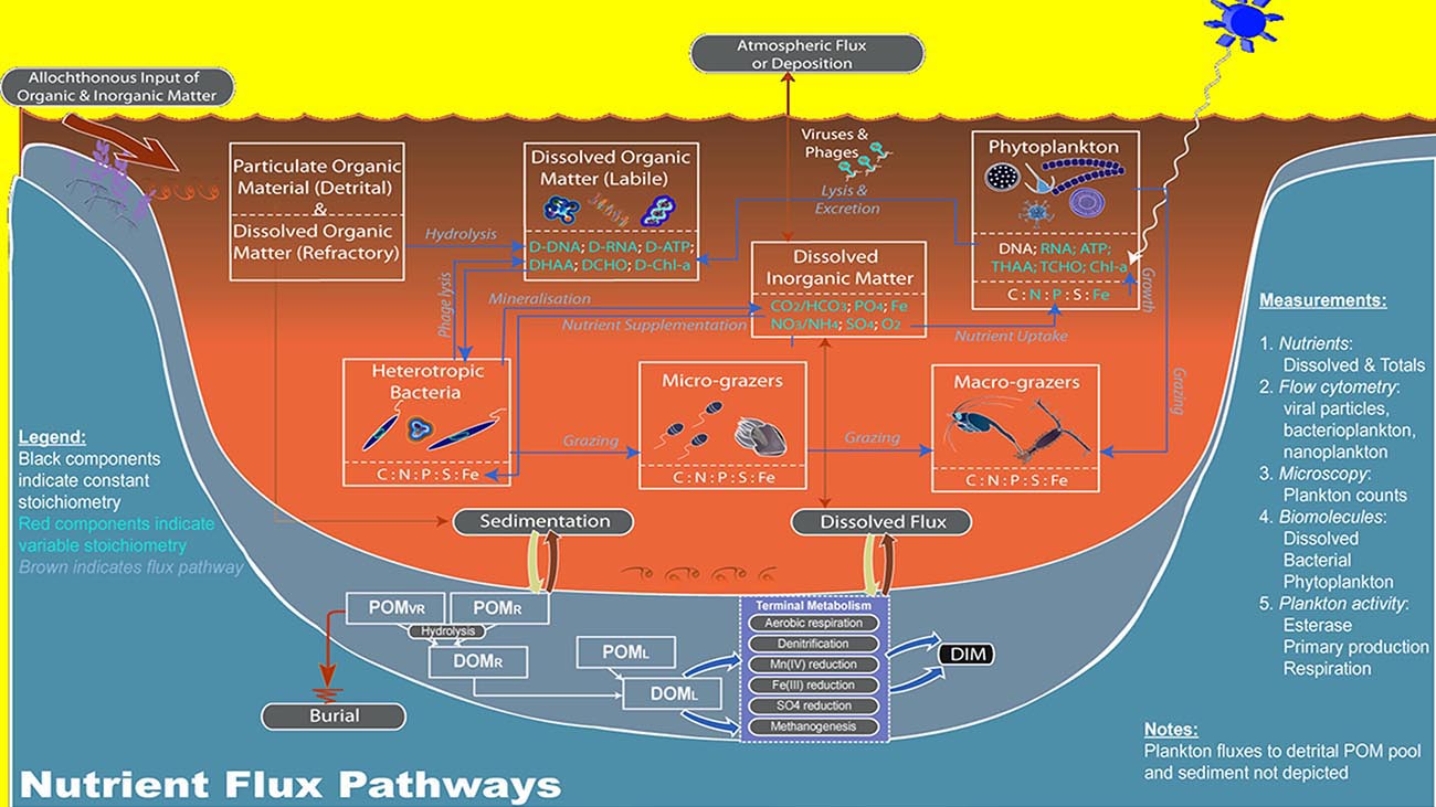 The biogeochemical model, CAEDYM, development of which started pretty much the same time, was also completed and when coupled with ELCOM provides a suitable platform for simulating short, high resolution  simulations of the ecology in standing water. Both these models have recently been further improved and commercialised under the name, AEM3D.