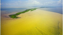 Overflow into Lake Maracaibo. The photograph taken in 1998 illustrates one extreme of river inflows. When the inflowing water is lighter than the receiving it will overflow, as illustrated by the turbidity in this photograph