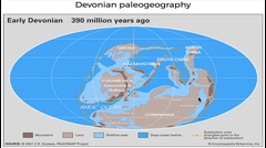 390 Million Years Ago: Gondwana