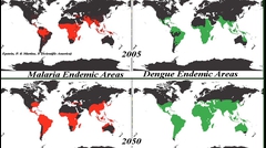 Simulations Predict Malaria and Dengues Will Reach Perth:  2035 - 2045