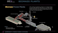 WAV_4.05_BiomassPlants copy