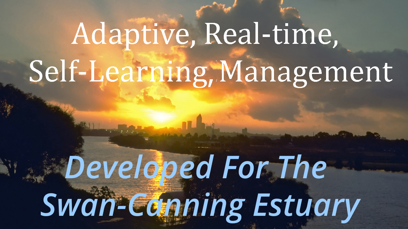 Adaptive Real-time, Self-learning Management